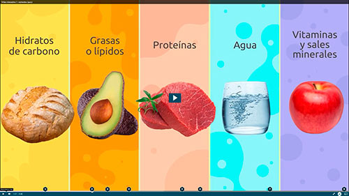 Comida saludable