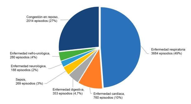 diagnósticos de ingreso revelaron la frecuencia mostrada