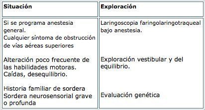 exploracines nariz, garganta y oidos
